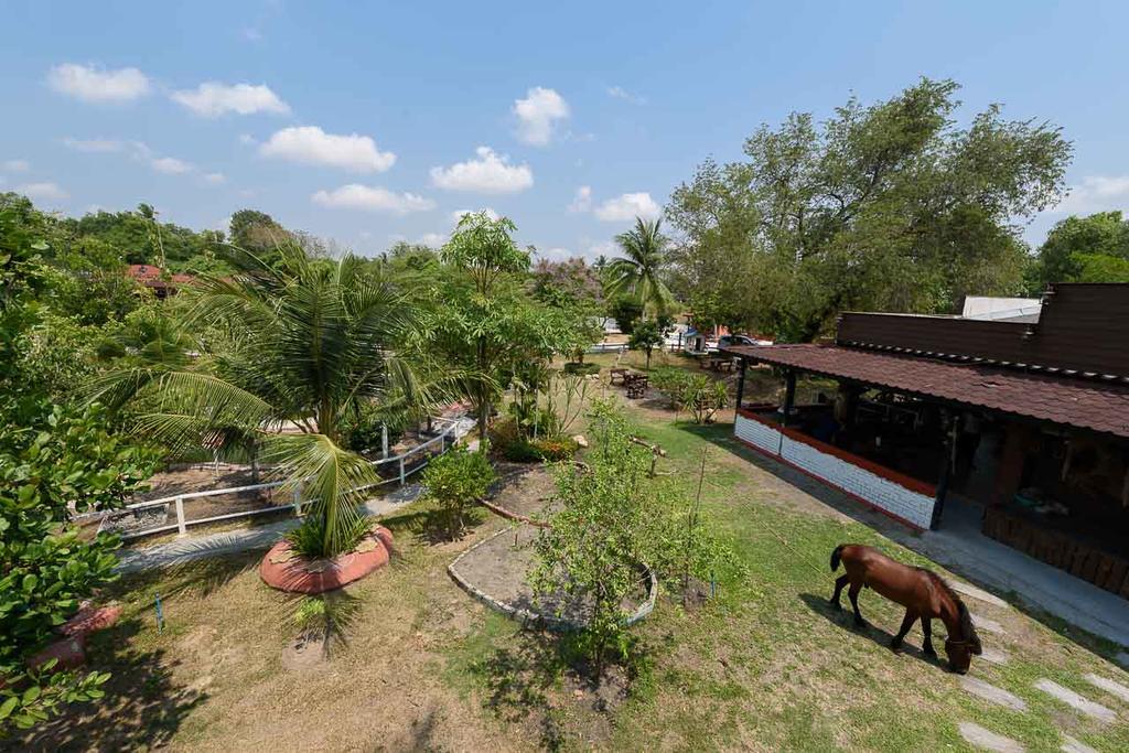 Cowboy Farm Resort Pattaya Ban Huai Yai Екстер'єр фото