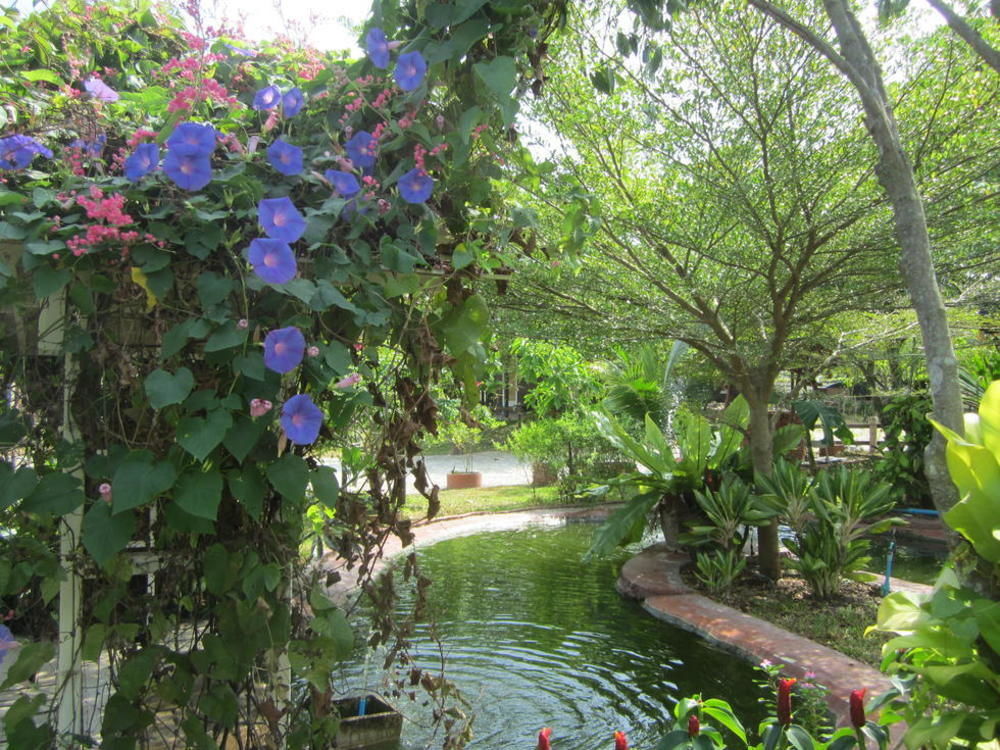 Cowboy Farm Resort Pattaya Ban Huai Yai Екстер'єр фото