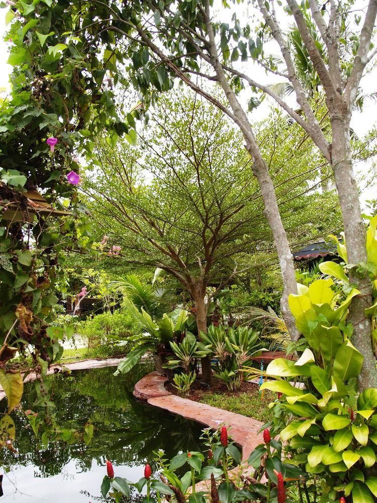 Cowboy Farm Resort Pattaya Ban Huai Yai Екстер'єр фото